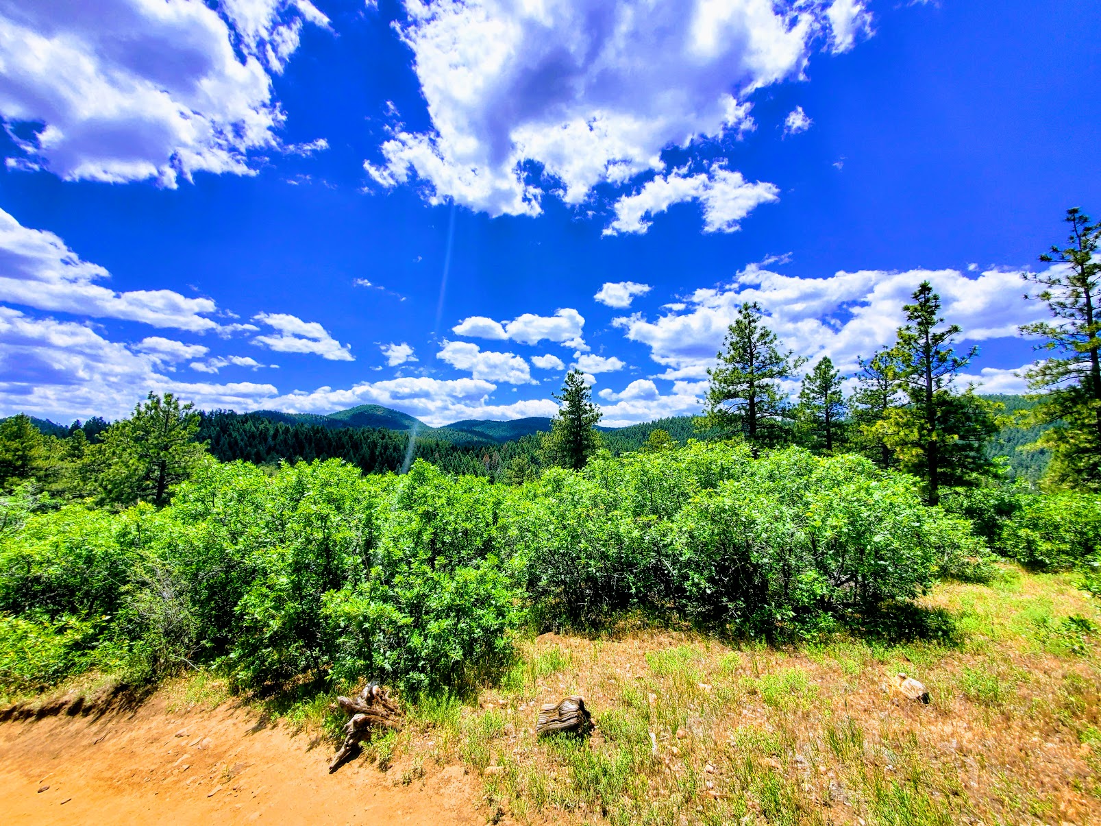 Looking out west at Deer Creek Canyon