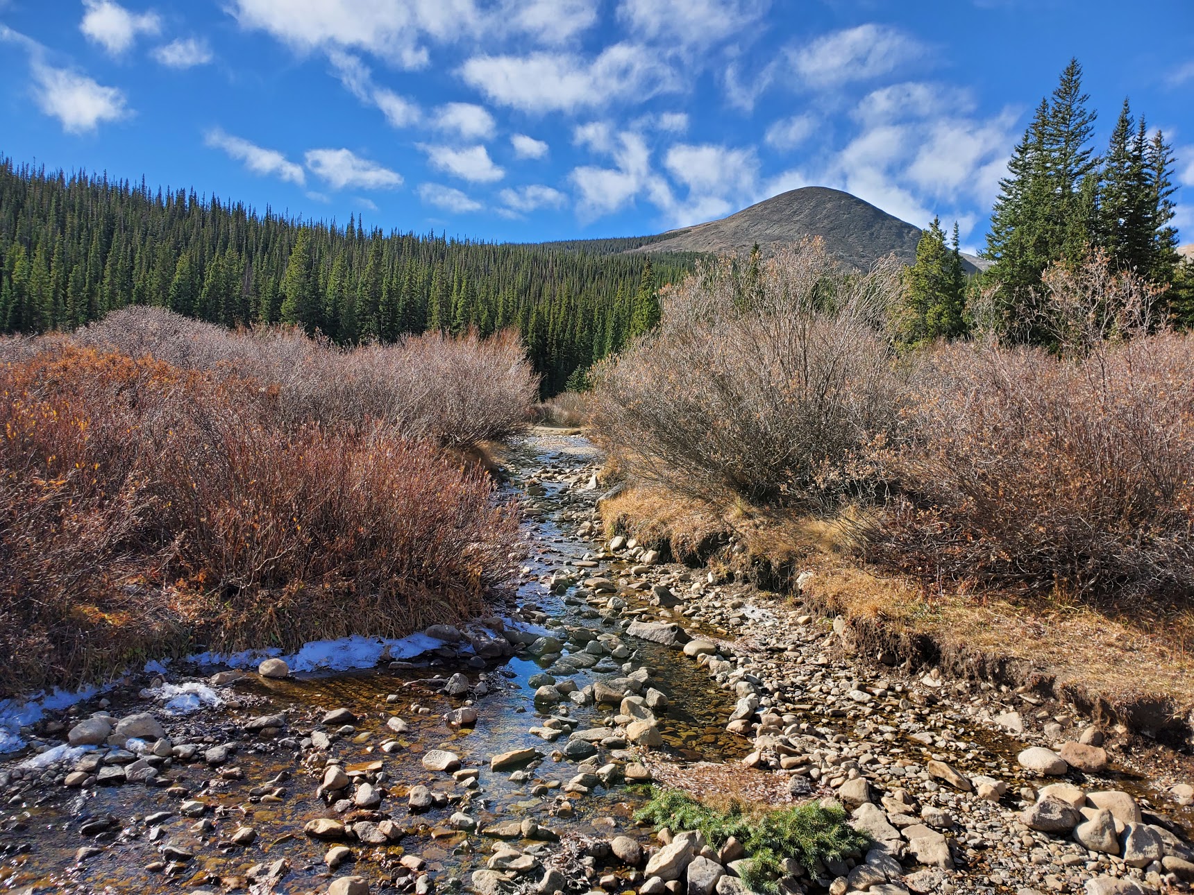 Our site at French Creek